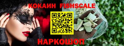 spice Камышлов