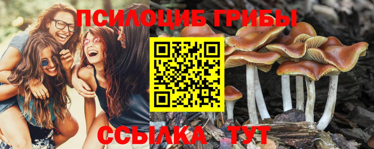 Псилоцибиновые грибы ЛСД  Вход с VPN  Курчатов 